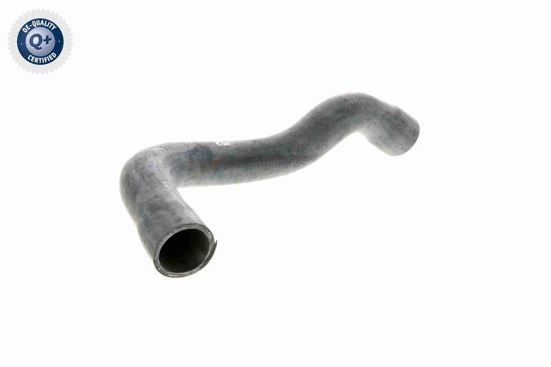VAICO V20-1242 K&uuml;hlerschlauch f&uuml;r BMW