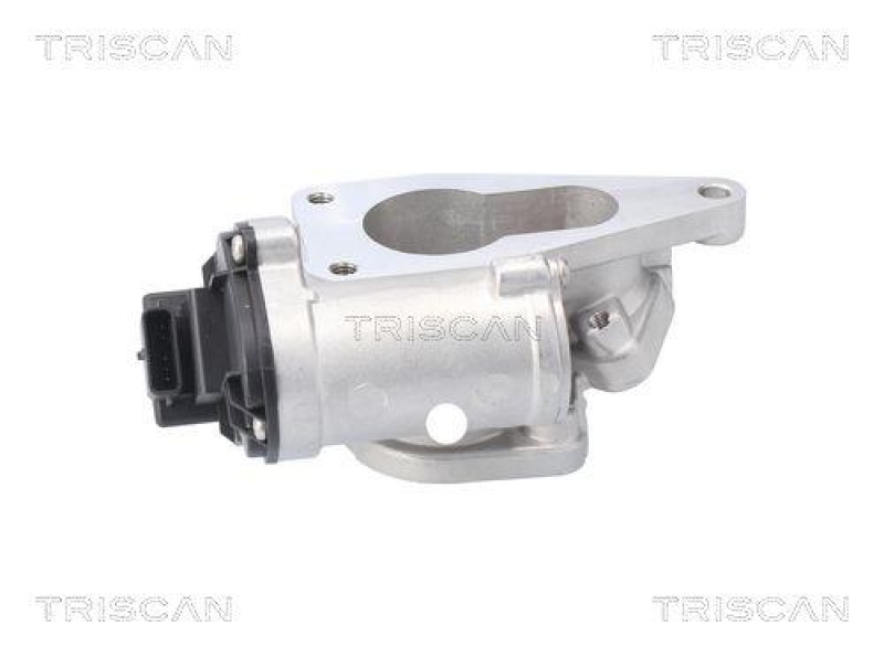 TRISCAN 8813 25201 Agr Ventil f&uuml;r Renault