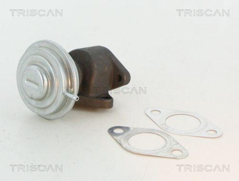 TRISCAN 8813 27100 Agr Ventil f&uuml;r Volvo/Vw 2.5Tdi
