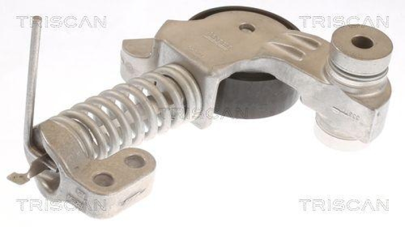 TRISCAN 8641 101014 Spannrolle für Volvo