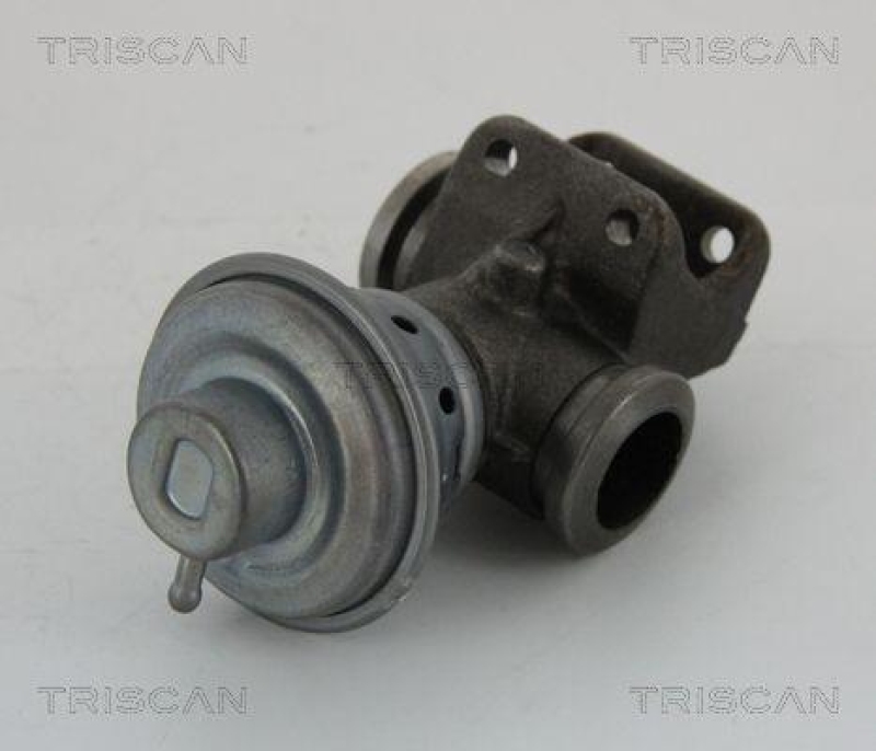 TRISCAN 8813 28013 Agr Ventil f&uuml;r Psa