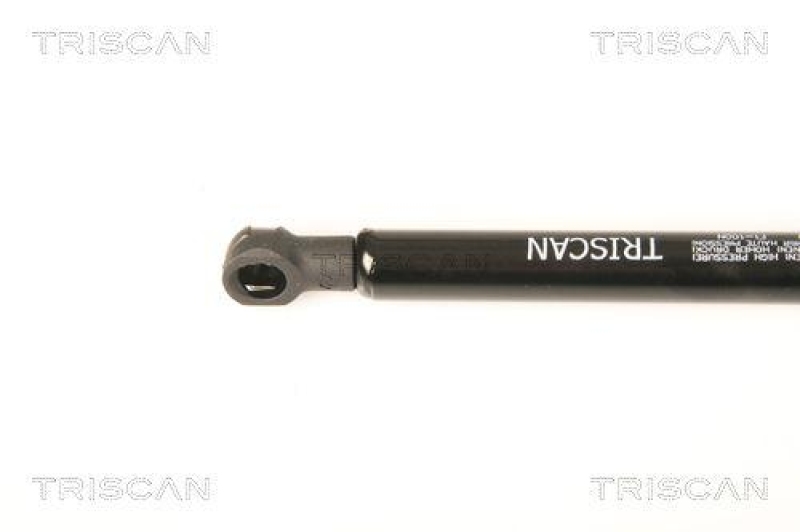 TRISCAN 8710 18229 Gasfeder Hinten Fenster für Kia Sorento Window