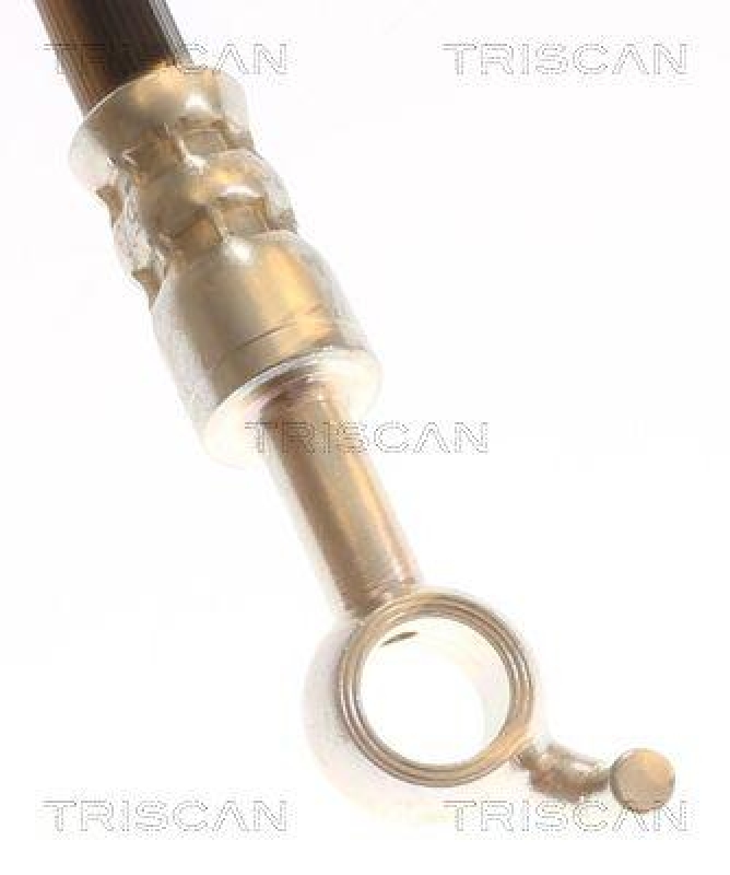 TRISCAN 8150 431012 Bremsschlauch Vorne für Hyundai, Kia
