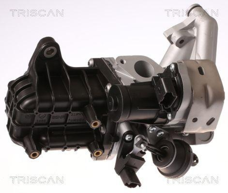 TRISCAN 8813 28046 Agr Ventil f&uuml;r Citroen, Peugeot