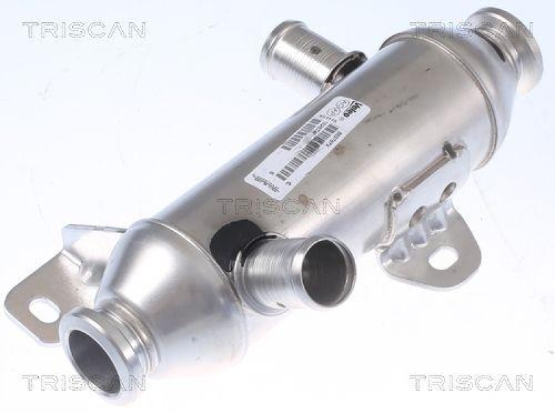 TRISCAN 8813 28102 K&uuml;hler, Abgasr&uuml;ckf&uuml;hrung f&uuml;r Citroen, Peugeot