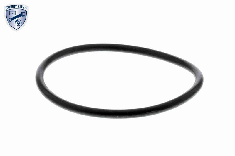 VAICO V10-3018 Hydraulikfilter, Automatikgetriebe 7-Gang S-Tronic (DSG®) für VW