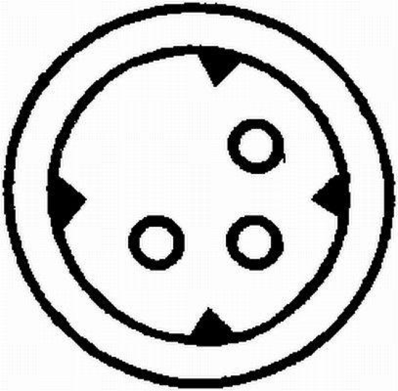 HELLA 8TW 006 849-091 Waschwasserpumpe, 24 V für MB/MAN/SCANIA