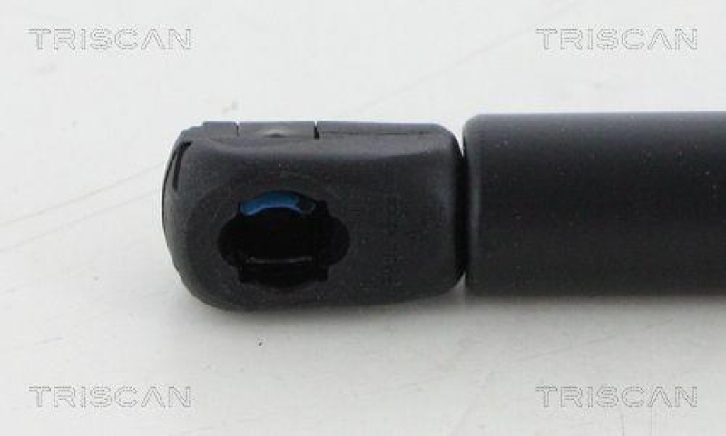 TRISCAN 8710 292043 Gasfeder Hinten für Vw Beetle Cab