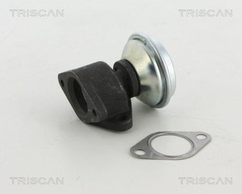 TRISCAN 8813 29067 Agr Ventil f&uuml;r Audi A6