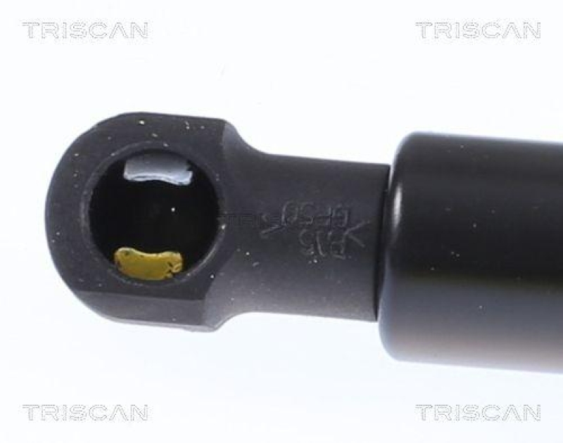 TRISCAN 8710 292058 Gasfeder Hinten f&uuml;r Audi A5 Cabrio