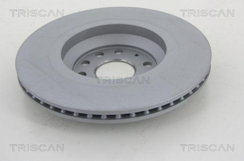 TRISCAN 8120 291002c Bremsscheibe Hinten, Coated f&uuml;r Audi, Seat, Skoda, Vw