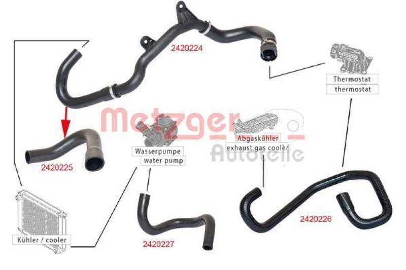 METZGER 2420224 K&uuml;hlerschlauch f&uuml;r CITROEN/FIAT/PEUGEOT