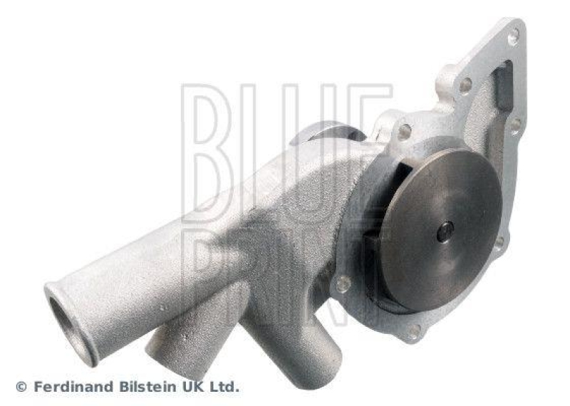 BLUE PRINT ADJ139110 Wasserpumpe mit Dichtung für ROVER