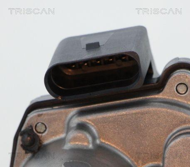 TRISCAN 8813 29317 Agr Ventil f&uuml;r Vag