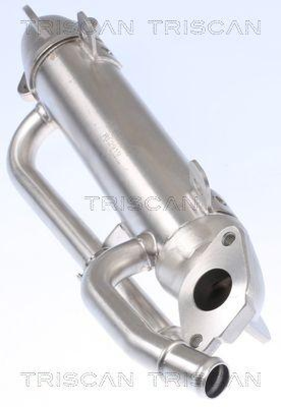 TRISCAN 8813 29324 K&uuml;hler, Abgasr&uuml;ckf&uuml;hrung f&uuml;r Vag