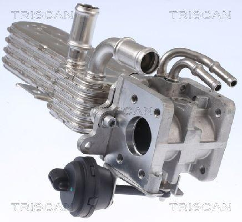 TRISCAN 8813 29331 K&uuml;hler, Abgasr&uuml;ckf&uuml;hrung f&uuml;r Vag