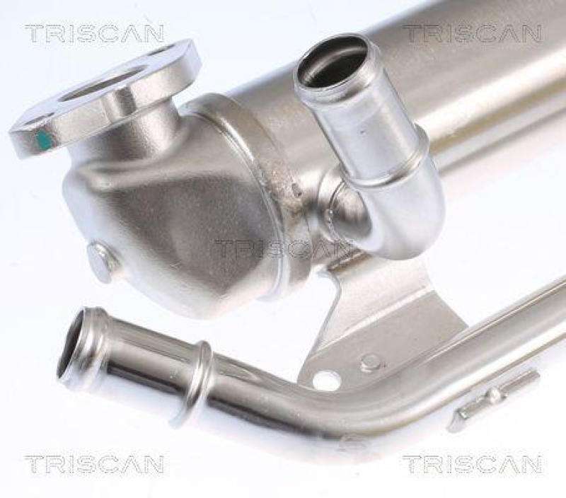 TRISCAN 8813 29335 K&uuml;hler, Abgasr&uuml;ckf&uuml;hrung f&uuml;r Seat, Skoda, Vw