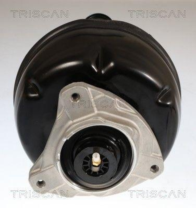 TRISCAN 8750 23112 Spiralfeder Hinten