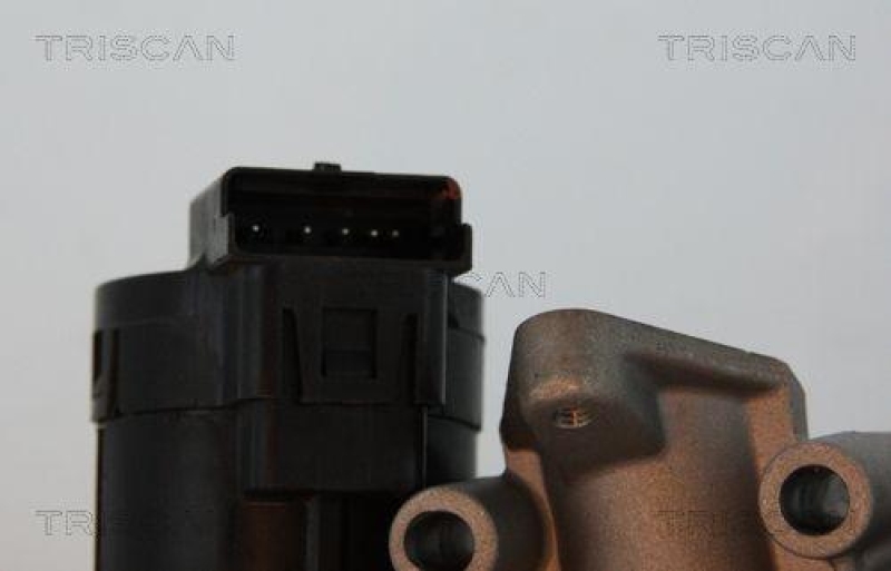 TRISCAN 8813 10001 Agr Ventil f&uuml;r Ford/Volvo/Mazda