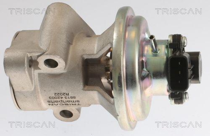 TRISCAN 8813 42003 Agr Ventil f&uuml;r Mitsubishi