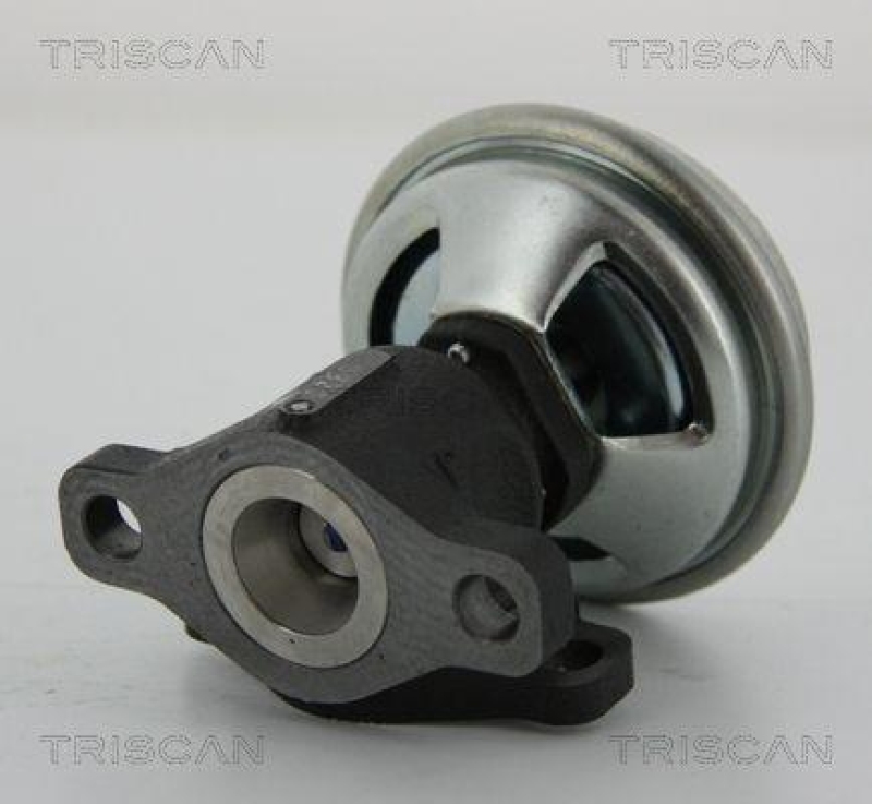 TRISCAN 8813 43003 Agr Ventil für Hyundai/Kia