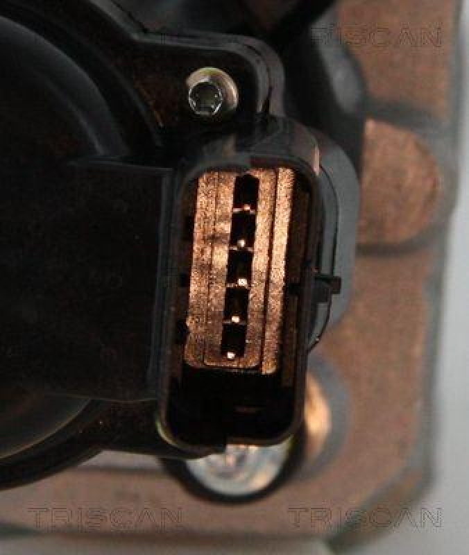TRISCAN 8813 10010 Agr Ventil f&uuml;r Psa/Fiat/Gm