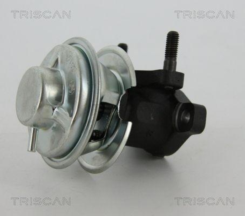 TRISCAN 8813 43008 Agr Ventil f&uuml;r Hyundai/Kia