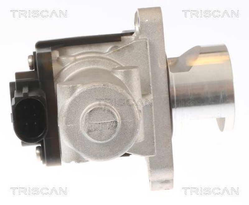 TRISCAN 8813 43010 Agr Ventil f&uuml;r Hyundai/Kia
