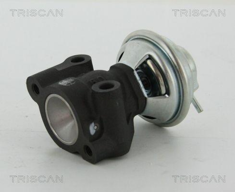 TRISCAN 8813 43016 Agr Ventil f&uuml;r Hyundai/Kia