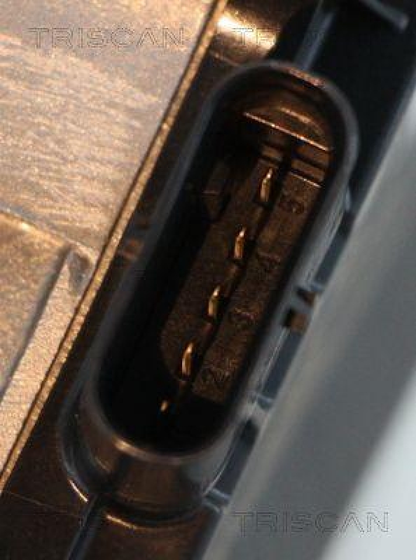 TRISCAN 8813 10031 Agr Ventil f&uuml;r Alfa, Fiat