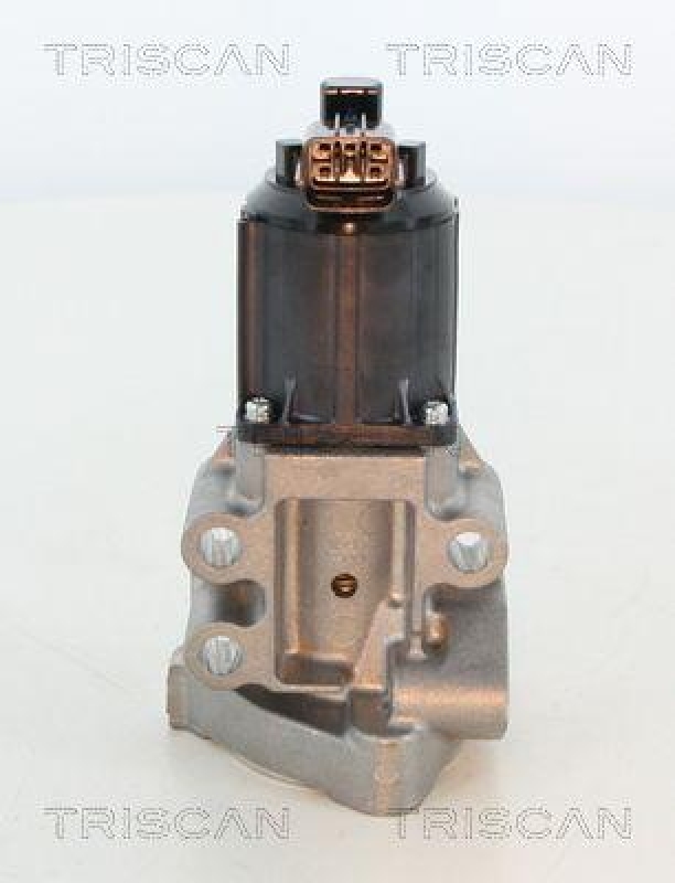 TRISCAN 8813 43025 Agr Ventil f&uuml;r Hyundai/Kia