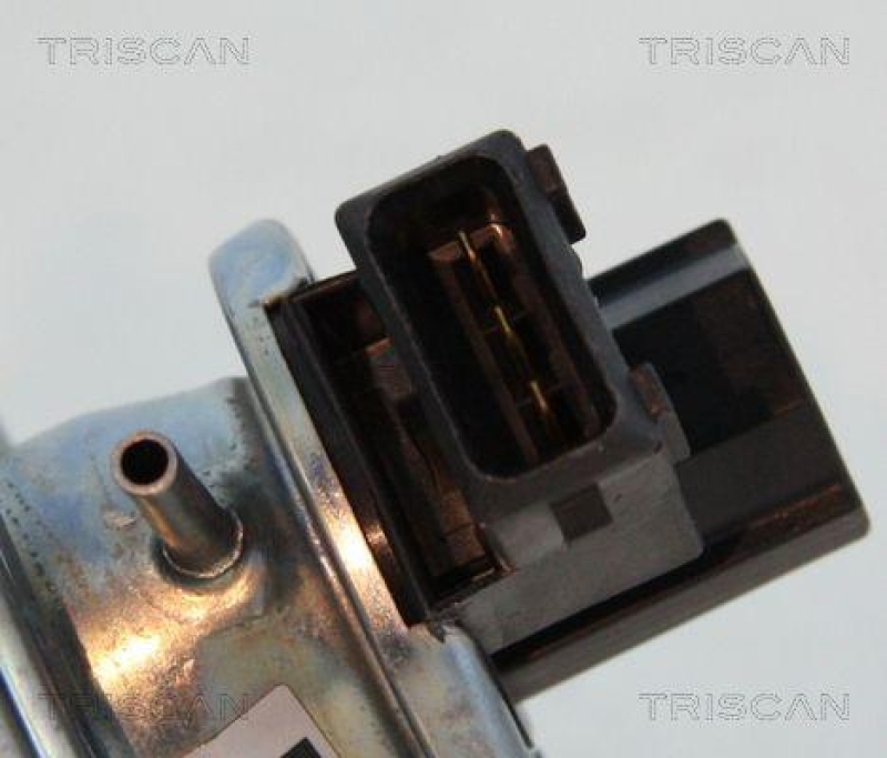 TRISCAN 8813 11002 Agr Ventil f&uuml;r Bmw
