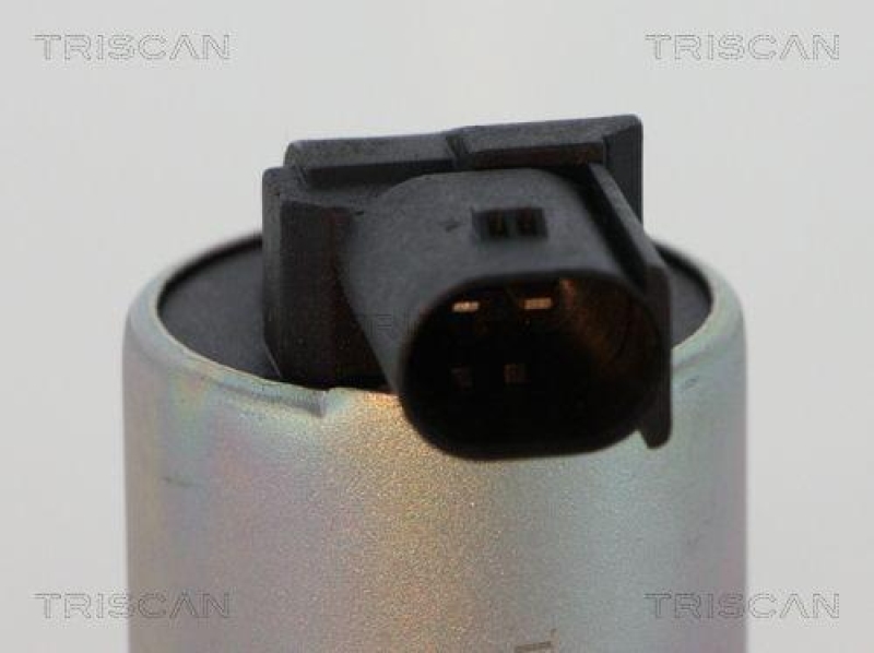 TRISCAN 8813 43100 Agr Ventil f&uuml;r Hyundai/Kia