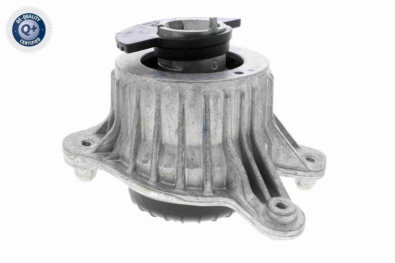 VAICO V30-3094 Lagerung, Motor Hydraulisch, rechts f&uuml;r MERCEDES-BENZ