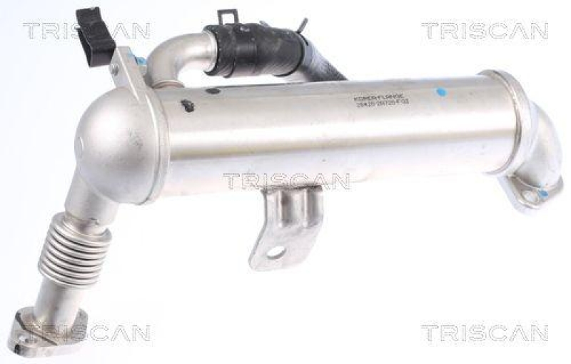 TRISCAN 8813 43101 K&uuml;hler, Abgasr&uuml;ckf&uuml;hrung f&uuml;r Hyundai, Kia