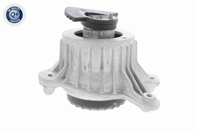 VAICO V30-3098 Lagerung, Motor Hydraulisch, rechts f&uuml;r MERCEDES-BENZ