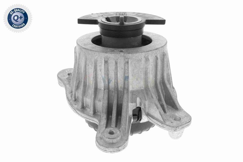 VAICO V30-3100 Lagerung, Motor Hydraulisch, rechts f&uuml;r MERCEDES-BENZ