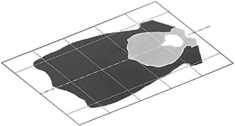 HELLA 1GB 006 213-117 Arbeitsscheinwerfer Modul 6213 Halogen