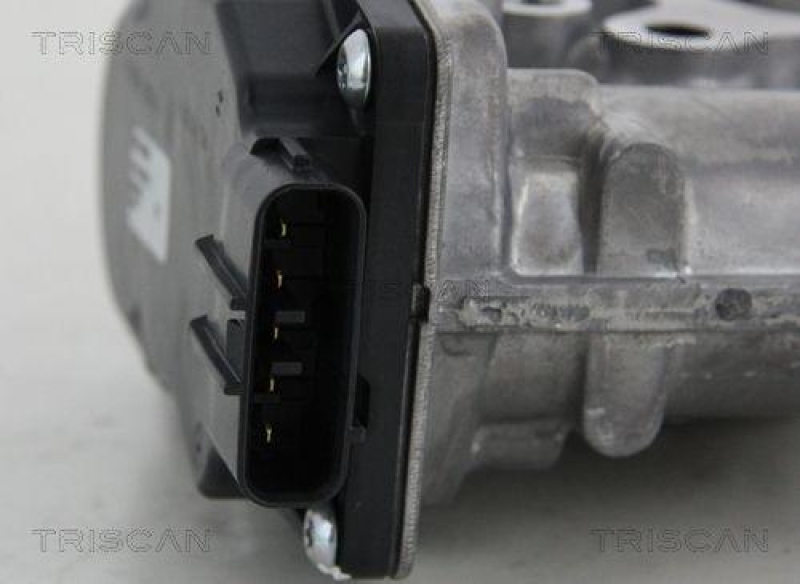 TRISCAN 8813 13021 Agr Ventil f&uuml;r Toyota
