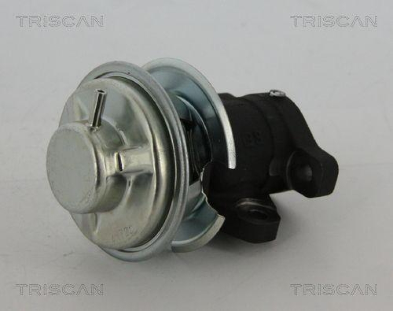 TRISCAN 8813 43201 Agr Ventil f&uuml;r Hyundai