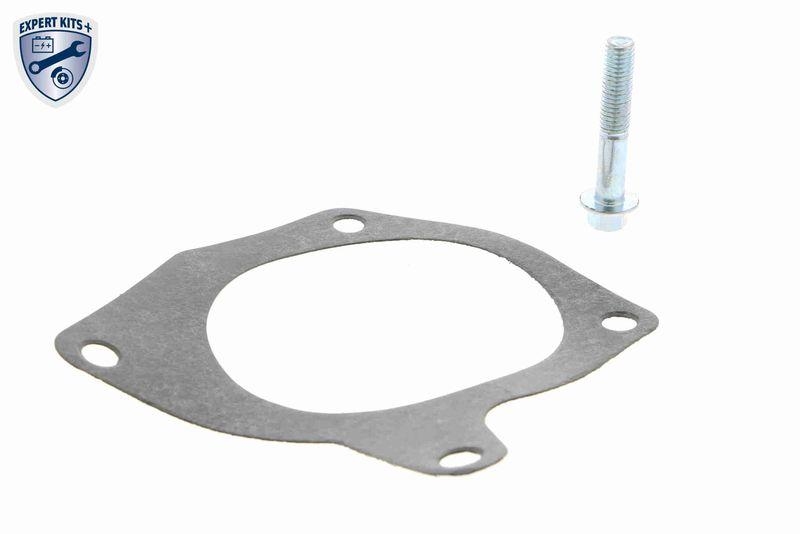 VAICO V25-50021 Wasserpumpe, Motork&uuml;hlung mit Dichtungssatz f&uuml;r FORD
