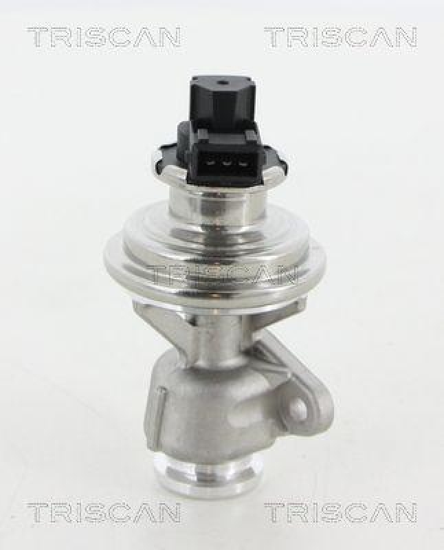 TRISCAN 8813 44010 Agr Ventil f&uuml;r Ssangyong