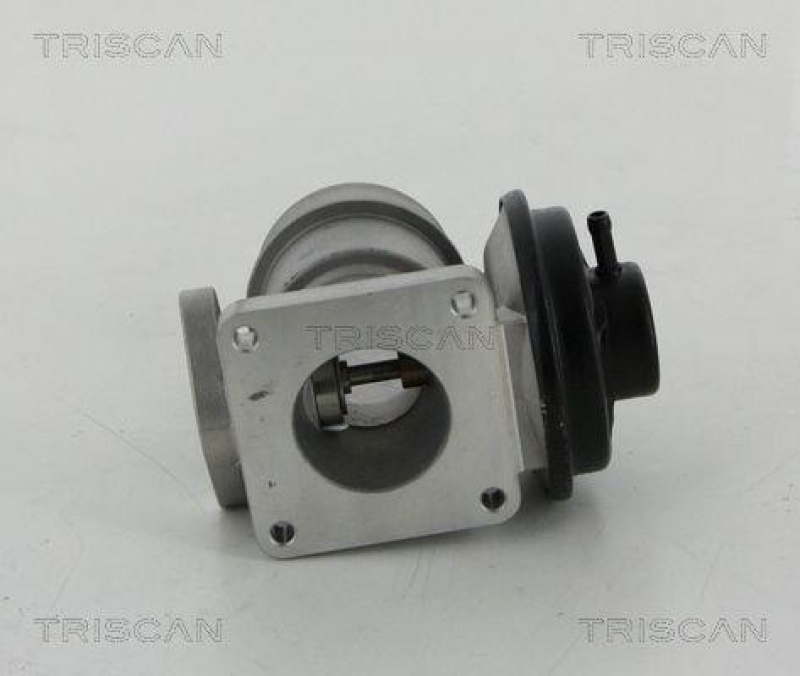 TRISCAN 8813 44030 Agr Ventil f&uuml;r Ssangyong