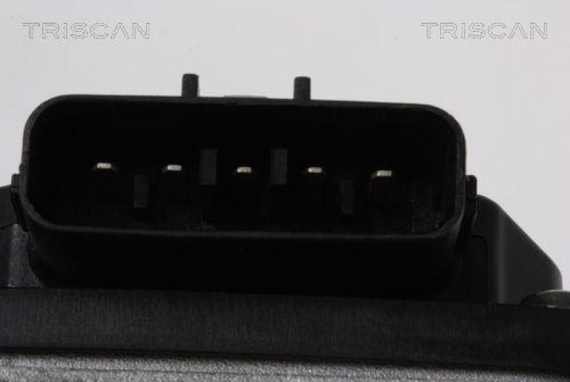 TRISCAN 8813 14100 Agr Ventil f&uuml;r Nissan