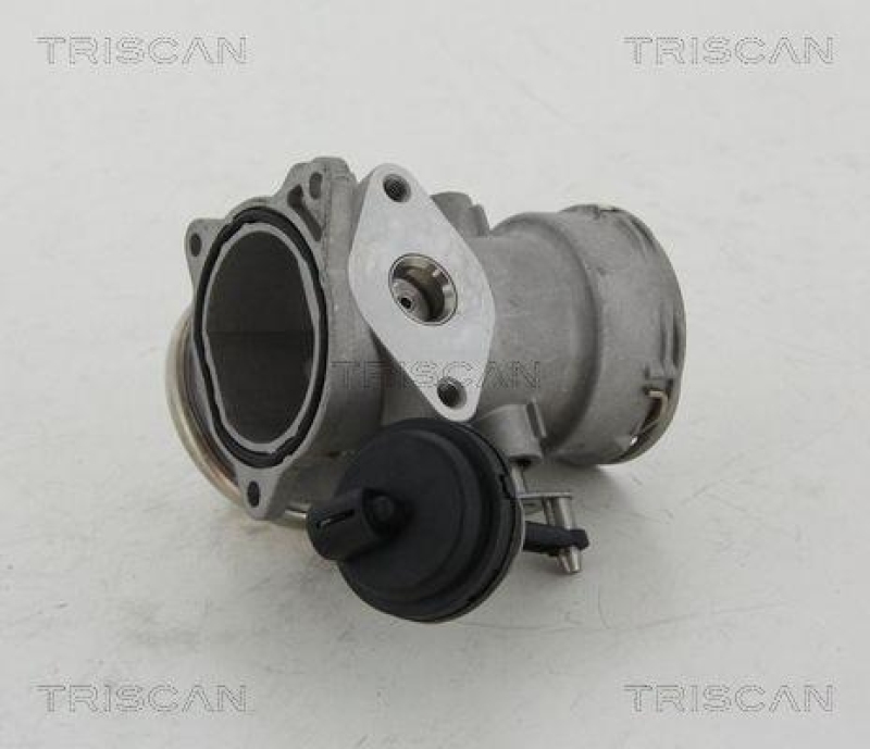 TRISCAN 8813 16023 Agr Ventil f&uuml;r Ford/Vag