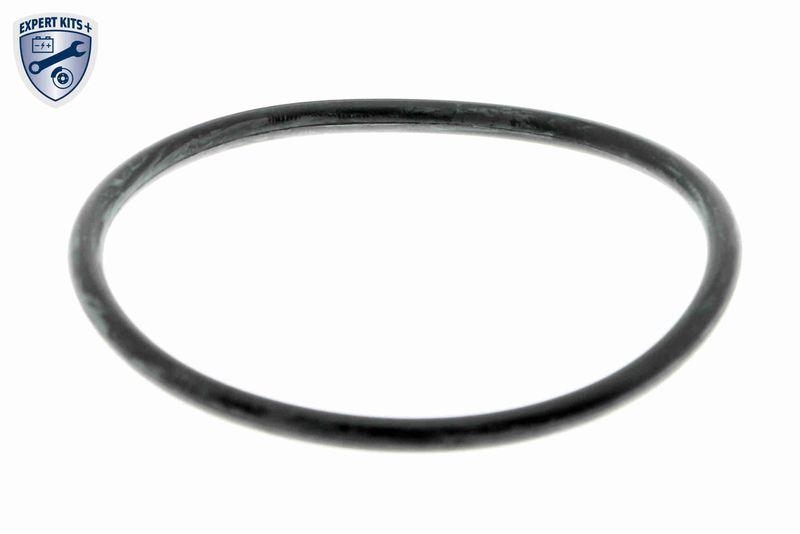 ACKOJA A38-50010 Wasserpumpe, Motorkühlung mit Dichtung für NISSAN