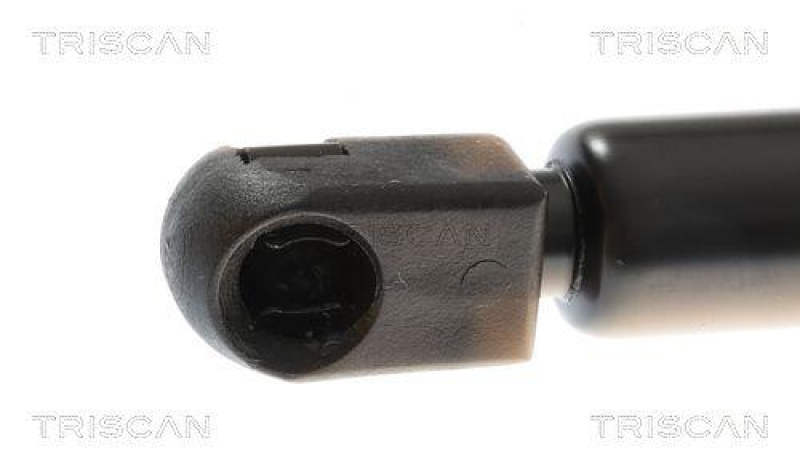 TRISCAN 8710 25220 Gasfeder Hinten für Renault Clio Ii