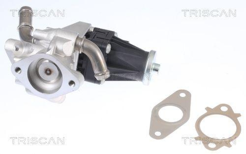 TRISCAN 8813 16150 Agr Ventil f&uuml;r Ford