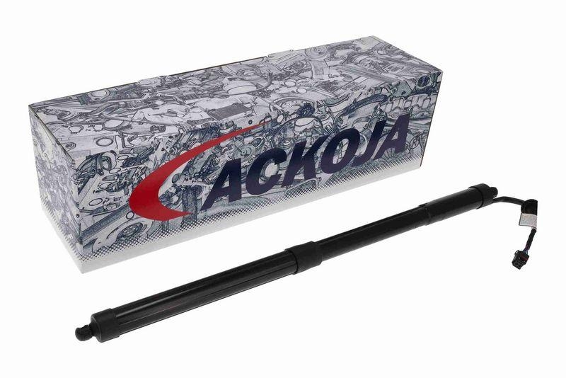 ACKOJA A38-55-0002 Elektromotor, Heckklappe für INFINITI