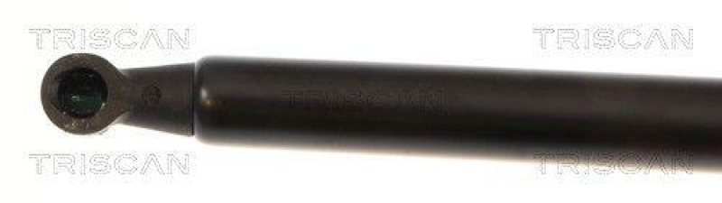 TRISCAN 8710 25246 Gasfeder Hinten f&uuml;r Renault Lagunaiii Grandtou